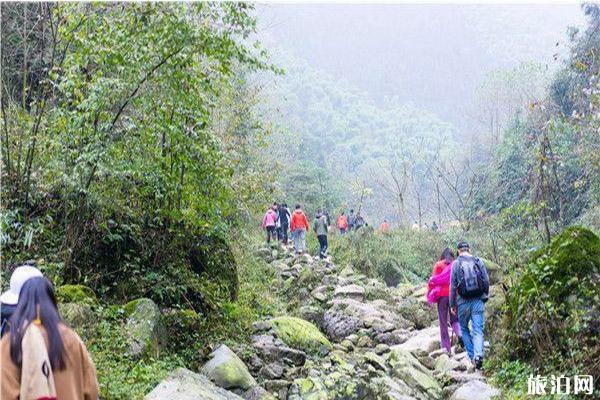 农夫山泉峨眉山工业 农夫山泉峨眉山工业