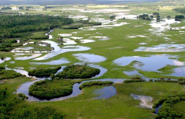 扎龙自然保护区 扎龙自然保护区