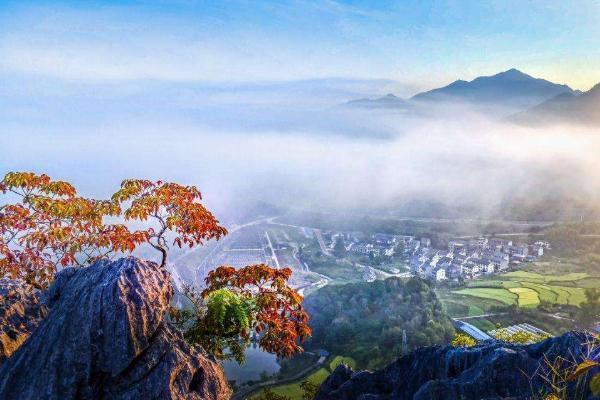 天阶山国家森林公园 天阶山国家森林公园