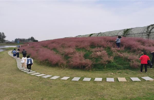 百万花海风景区 百万花海风景区