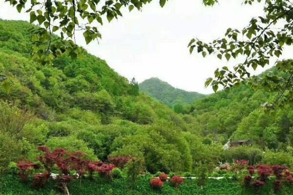 秦岭悠然山高山湿地景区