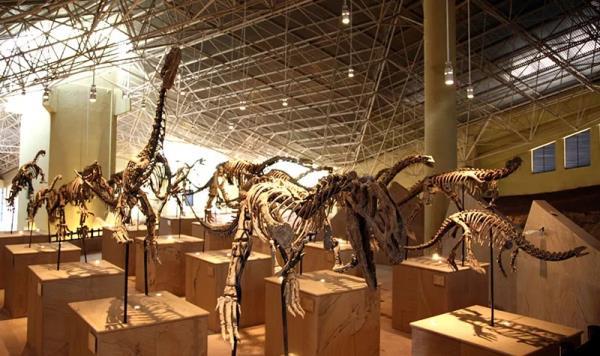 世界恐龙谷旅游区