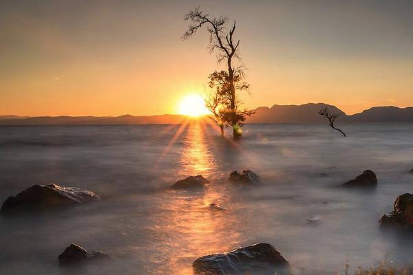 王官湿地公园 王官湿地公园