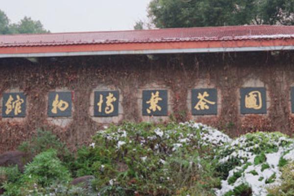 中国茶叶博物馆