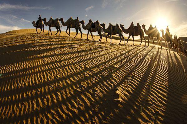 响沙湾旅游攻略 响沙湾旅游攻略