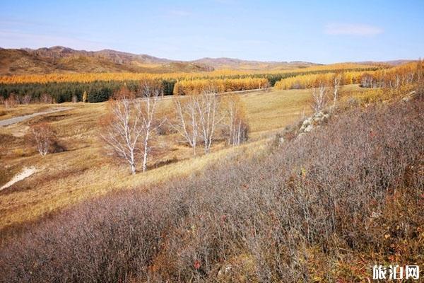 黄岗梁国家森林旅游区 黄岗梁国家森林旅游区