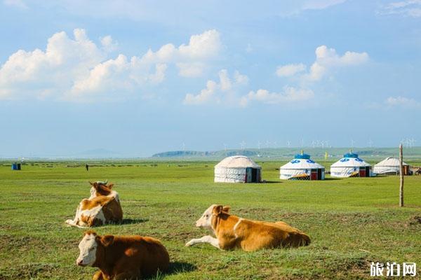 贡格尔草原 贡格尔草原