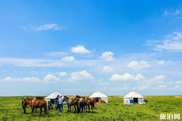 贡格尔草原 贡格尔草原
