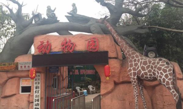 自贡-彩灯公园动物园 自贡-彩灯公园动物园
