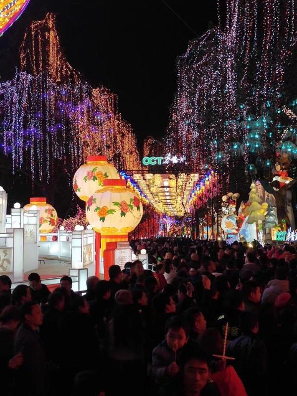 自贡-彩灯公园动物园 自贡-彩灯公园动物园