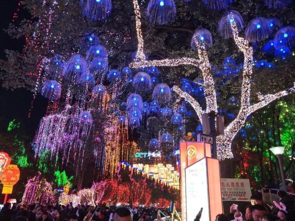 自贡-彩灯公园动物园 自贡-彩灯公园动物园