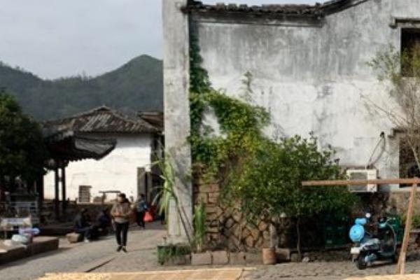 苍坡古村 苍坡古村