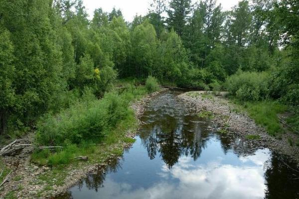 内蒙古满归伊克萨玛国家森林公园 内蒙古满归伊克萨玛国家森林公园