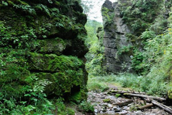 好森沟国家森林公园 好森沟国家森林公园