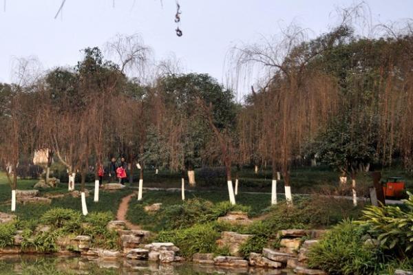 法界寺森林公园