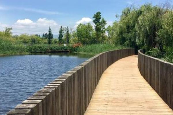 斗南湿地 斗南湿地