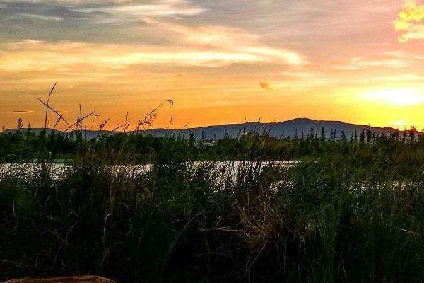 斗南湿地 斗南湿地