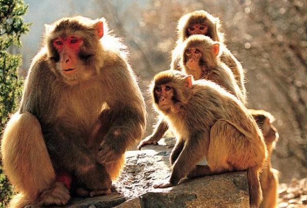 新乡关山地质公园 新乡关山地质公园