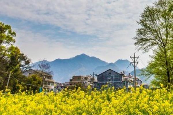 茗岙梯田 茗岙梯田