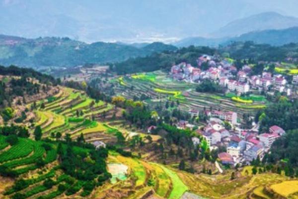 茗岙梯田 茗岙梯田