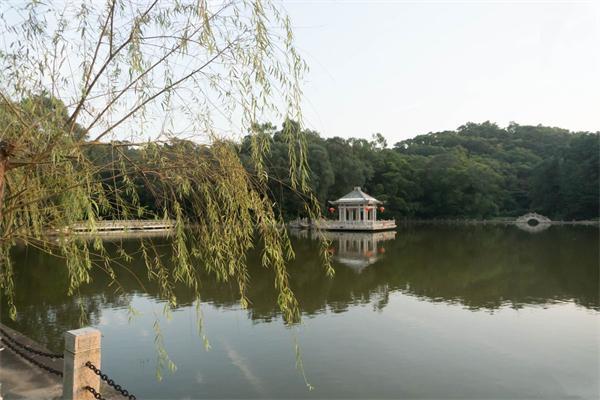 暨南大学 暨南大学