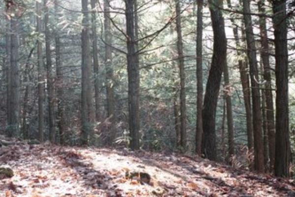 清凉峰国家级自然保护区