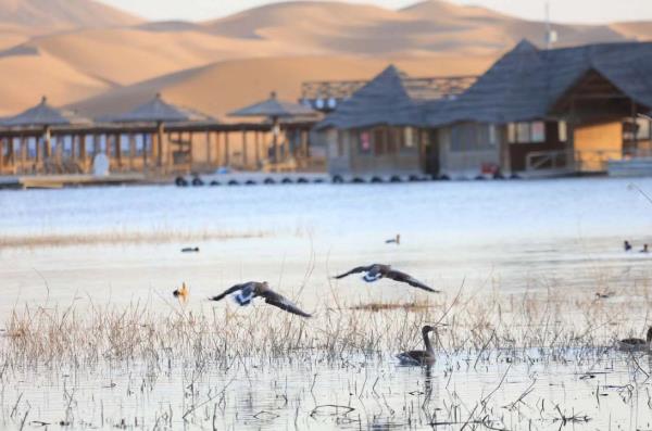 腾格里沙漠月亮湖 腾格里沙漠月亮湖