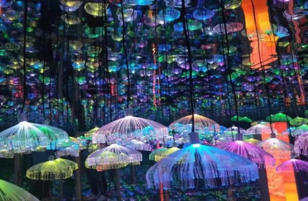 包头星空艺术馆 包头星空艺术馆