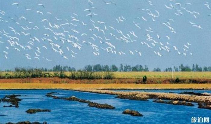 瑞丽江-大盈江风景区 瑞丽江-大盈江风景区