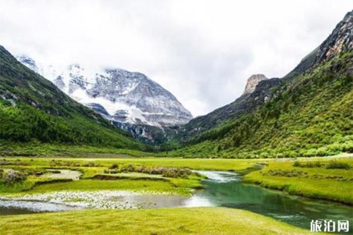 洛绒牛场 洛绒牛场