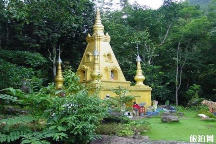 云南瑞丽莫里热带雨林风景区 云南瑞丽莫里热带雨林风景区