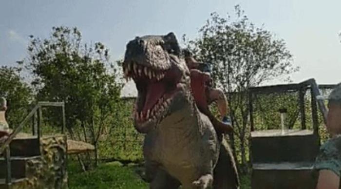 肇庆恒大梦幻奇趣园 肇庆恒大梦幻奇趣园