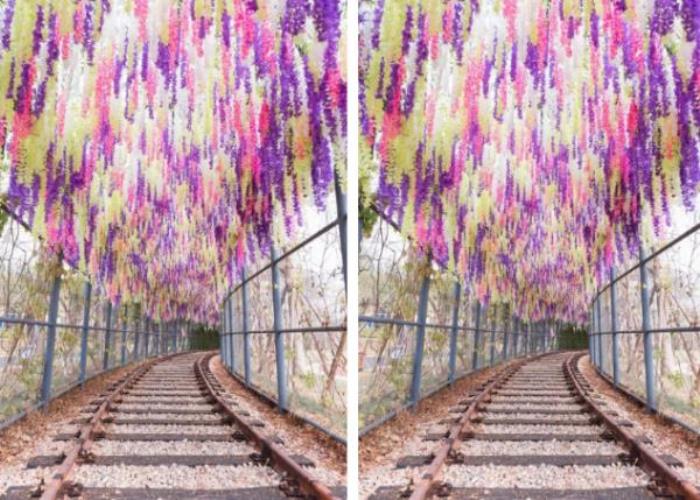 肇庆恒大梦幻奇趣园 肇庆恒大梦幻奇趣园