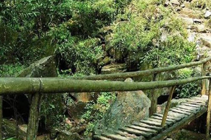 九龙原始森林景区 九龙原始森林景区