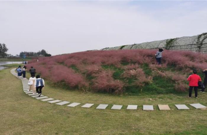 百万花海风景区 百万花海风景区