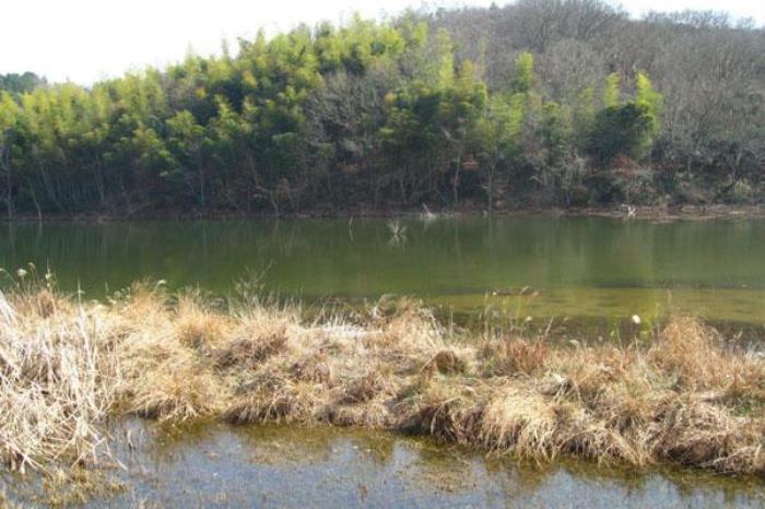 濮塘森林公园 濮塘森林公园