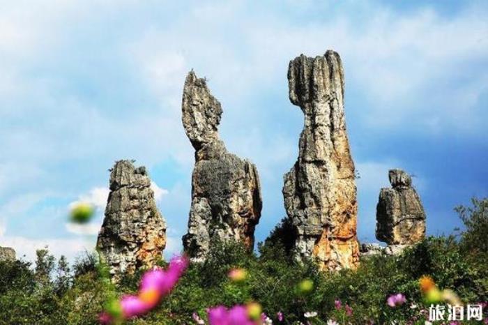 乃古石林 乃古石林