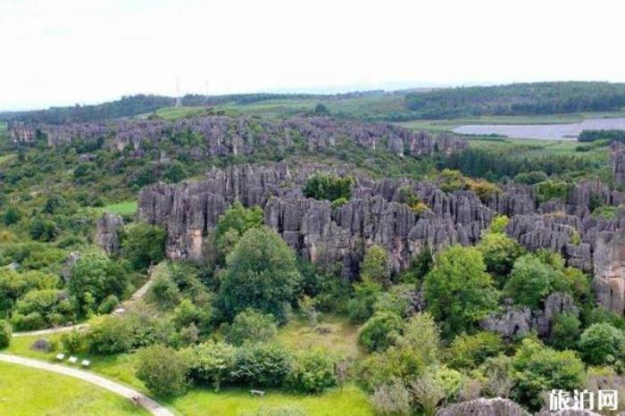 乃古石林 乃古石林