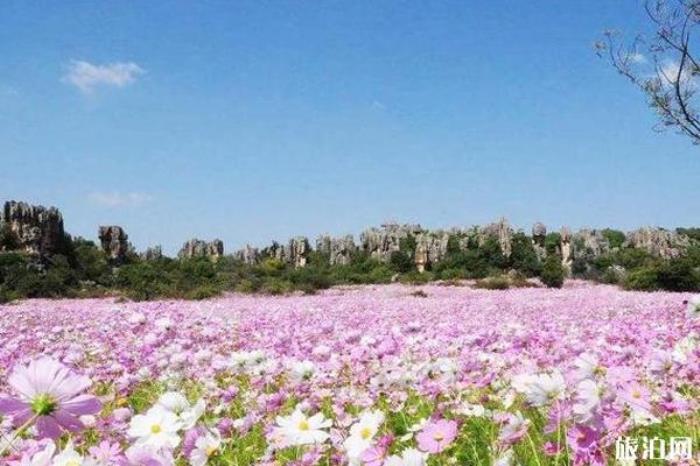 乃古石林 乃古石林