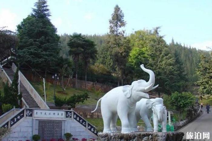 象鼻温泉度假村 象鼻温泉度假村