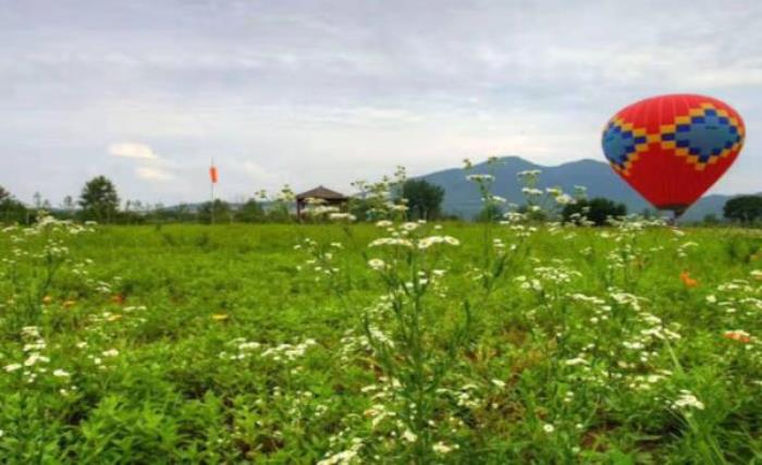仙溪花廊 仙溪花廊