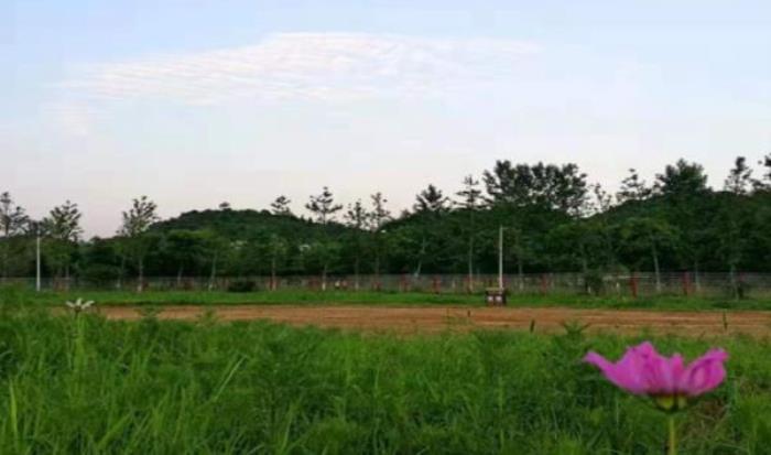仙溪花廊 仙溪花廊