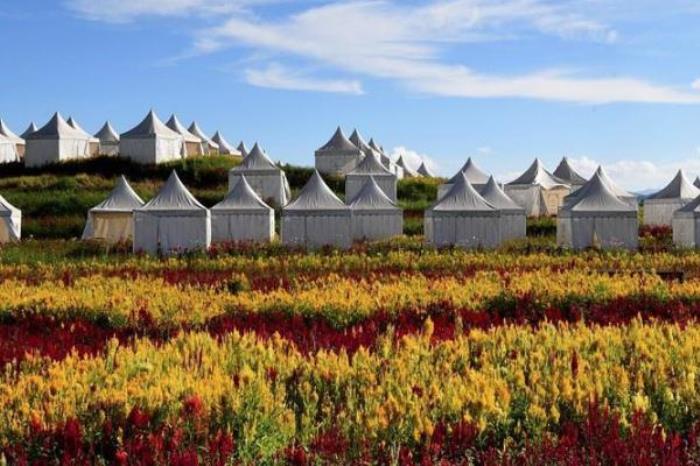 罗平欢乐童世界 罗平欢乐童世界