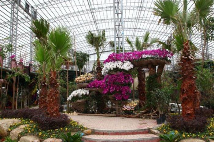 台湾花博园 台湾花博园