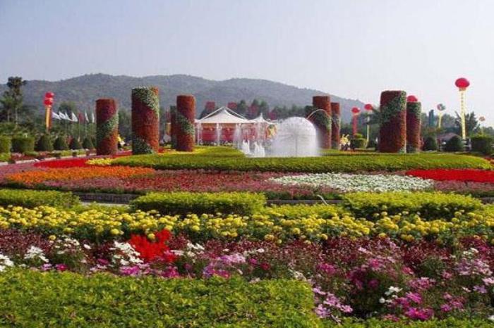 台湾花博园 台湾花博园