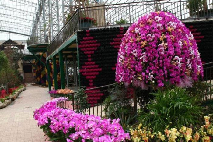 台湾花博园 台湾花博园