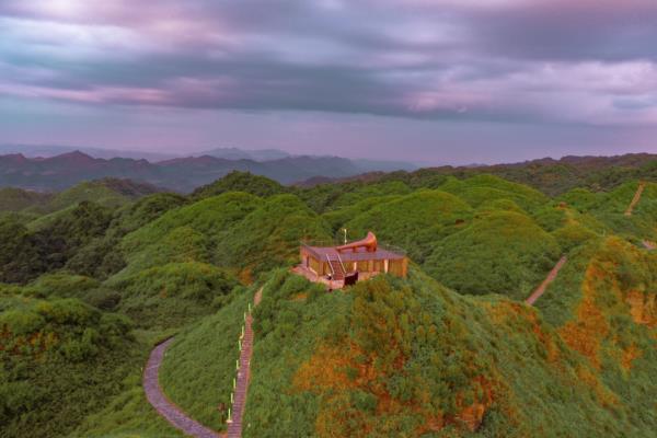 太阳坪映山红景区