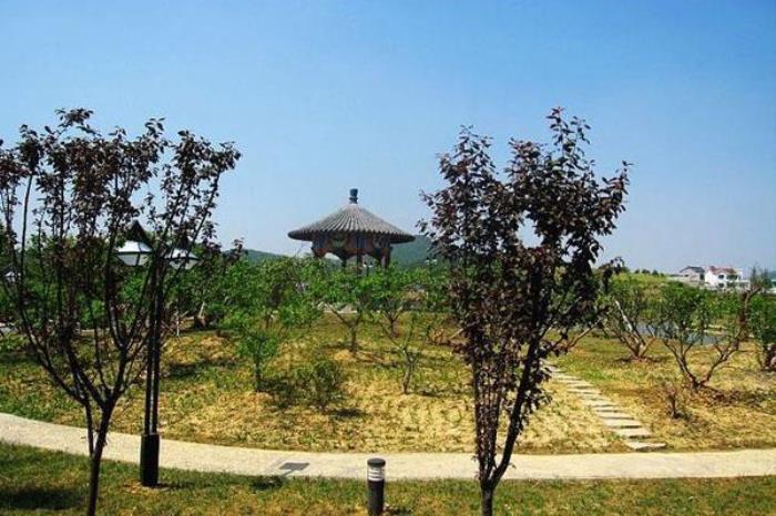 甑山生态园 甑山生态园