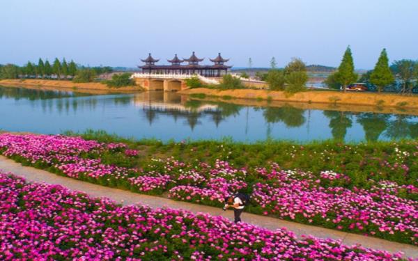 泗洪洪泽湖湿地