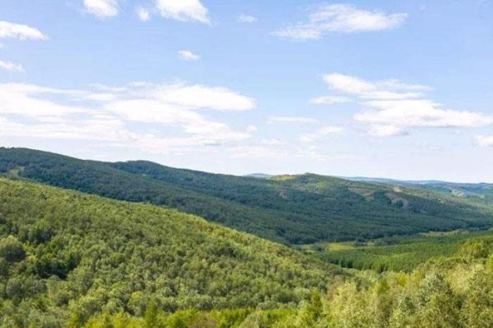 林海生态园 林海生态园